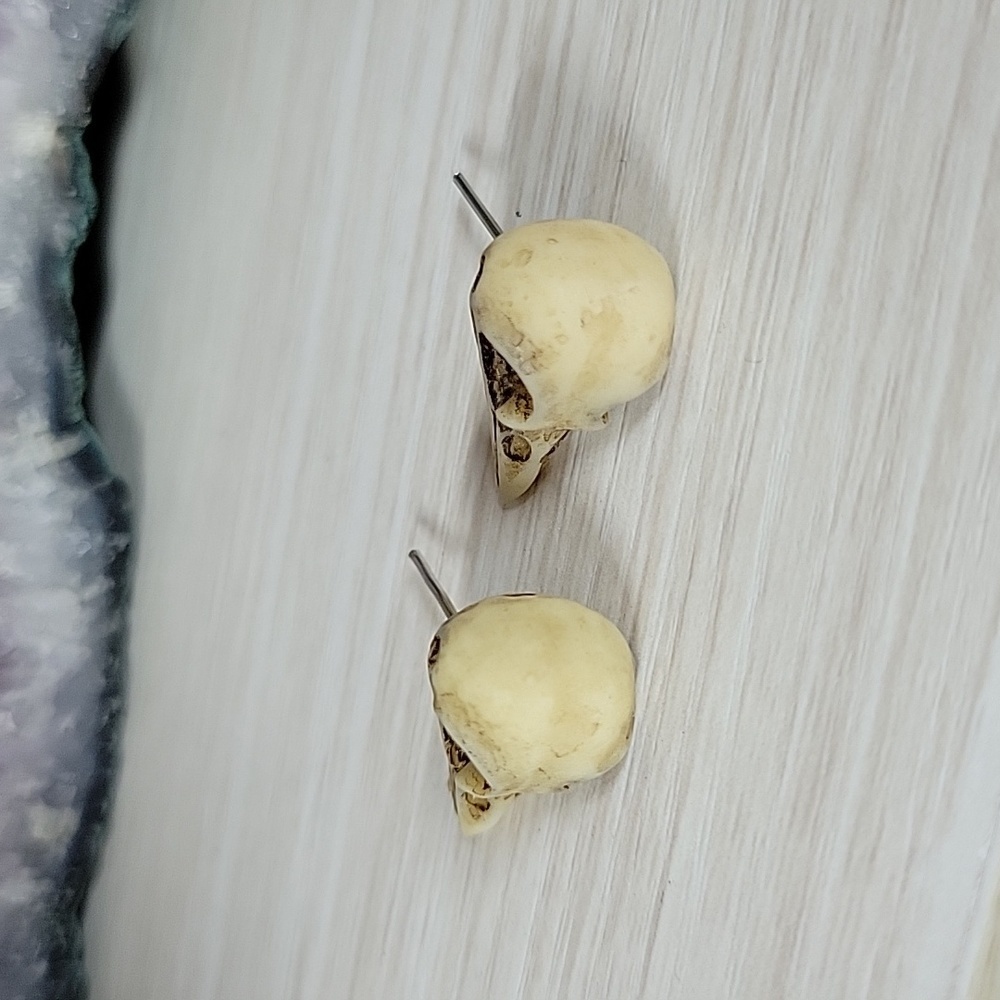 Realistic Bird Skull Stud Earrings - Picture 5 of 7